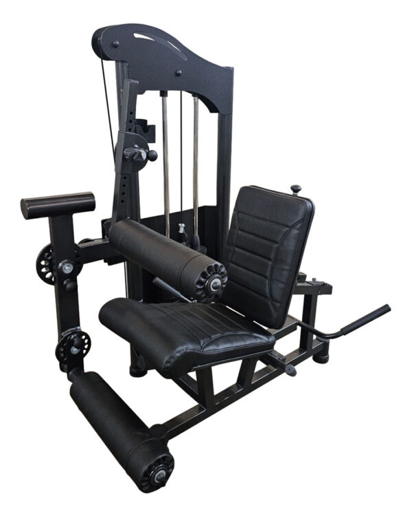 Extensora/Flexora 3x1